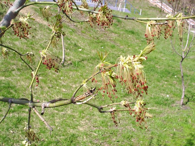 2004-04-18 11-20-14.jpg